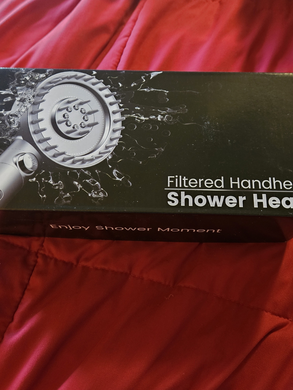 Filtered Handheld Shower Head - Silver